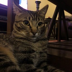 Meet your Posher, Nicholas